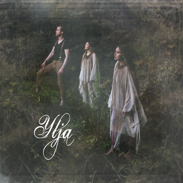 Ylja cover art
