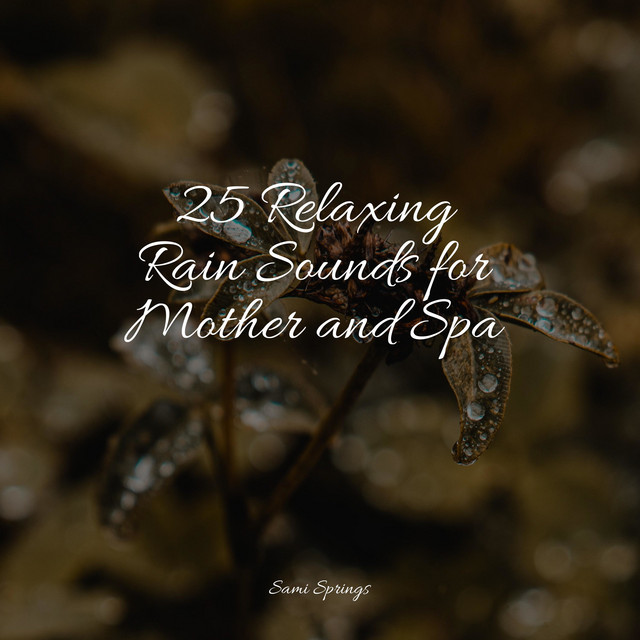 25 Relaxing Rain Sounds for Mother and Spa - Album by Meditation Rain ...