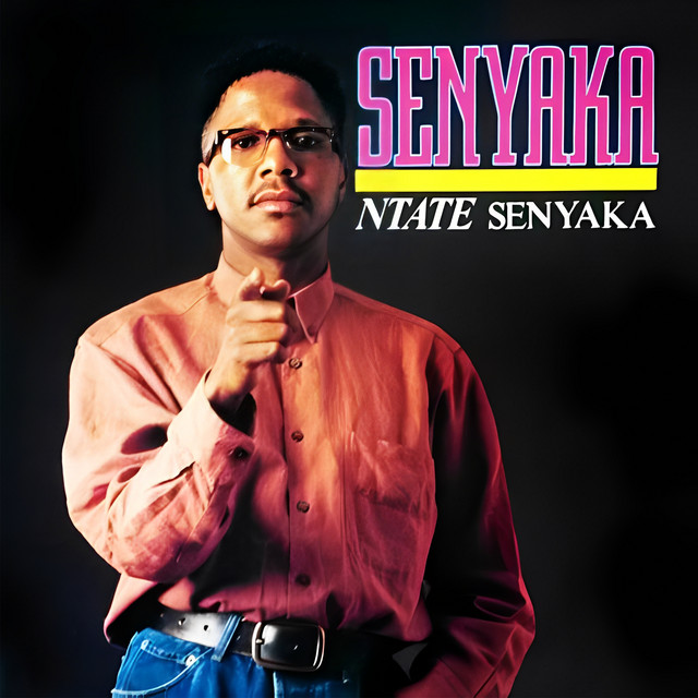 Ntate Senyaka cover art