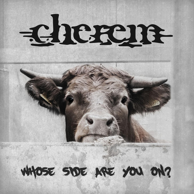 Whose Side Are You On? cover