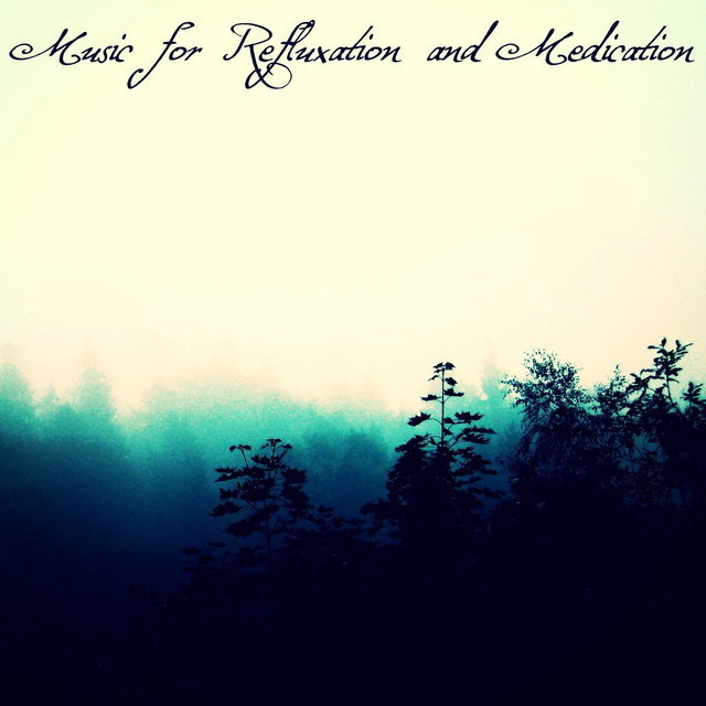 Music for Refluxation and Medication cover