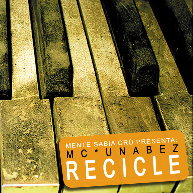 Recicle cover art
