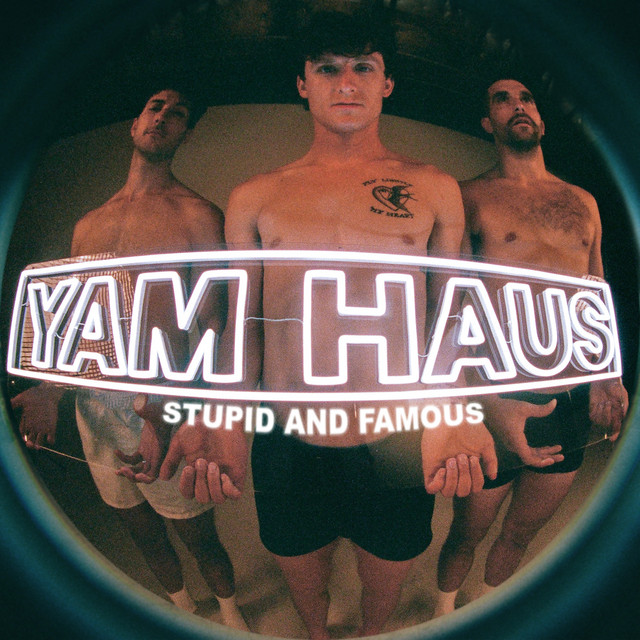 Stupid and Famous cover art