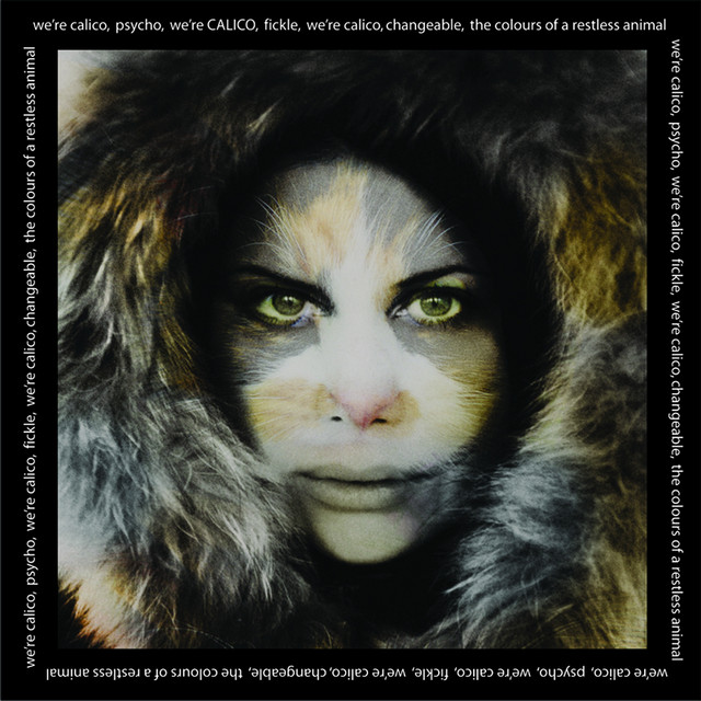 Calico cover