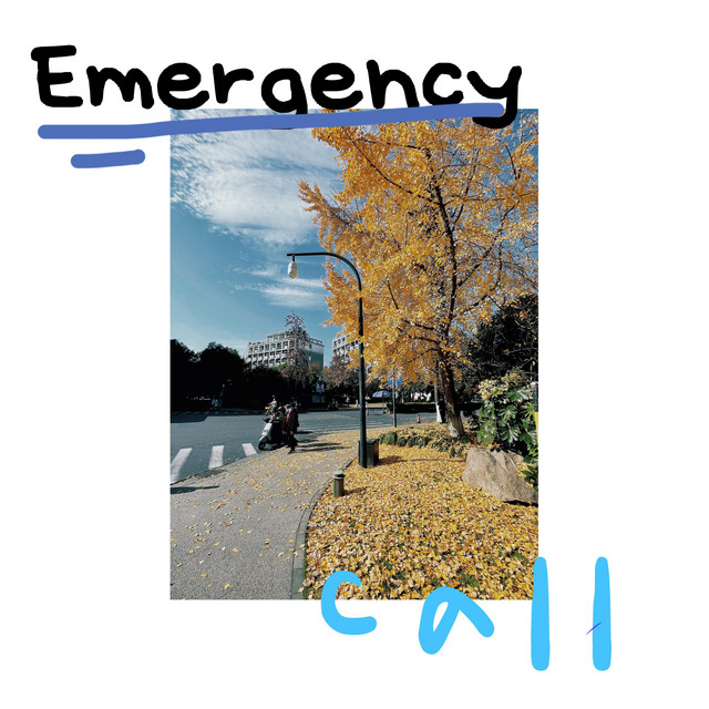 Emergency Call cover