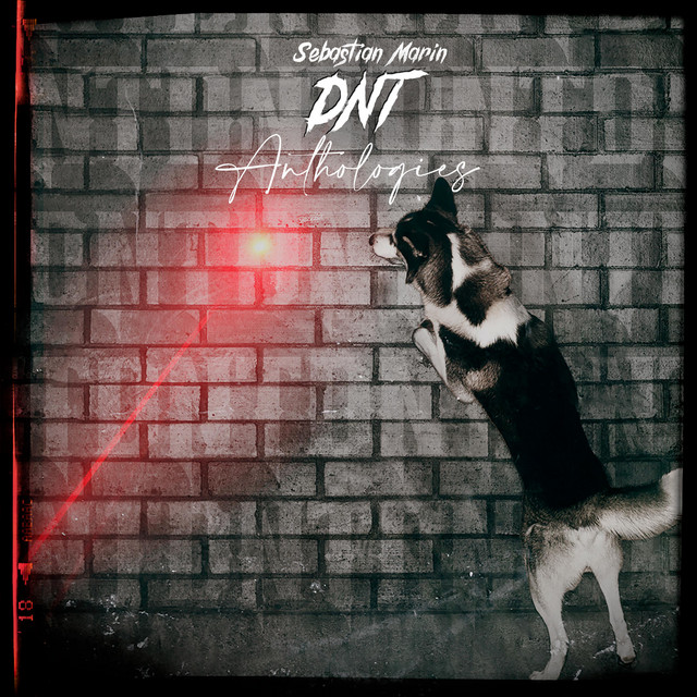 DNT: Anthologies cover art