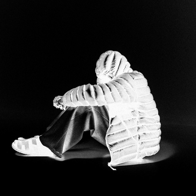 ambivalent cover art