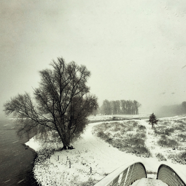 Winter cover art