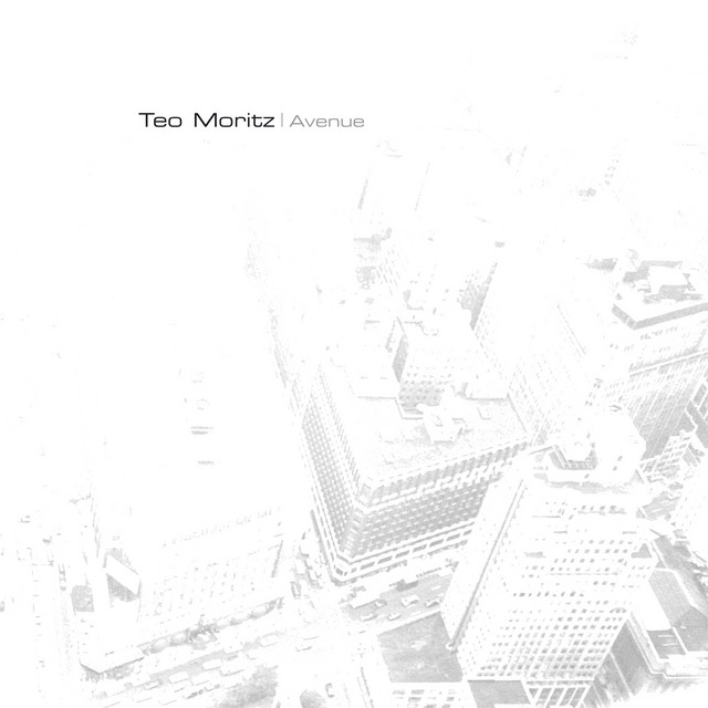 Avenue cover