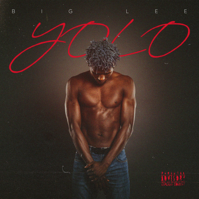 Обкладинка: YOLO — Big Lee
