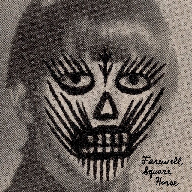 Farewell, Square Horse. cover art