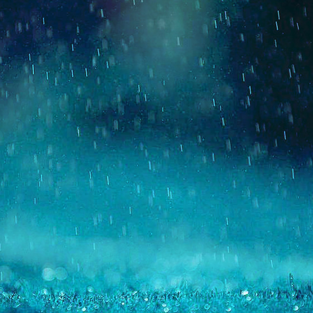 Feeling the Rain cover art