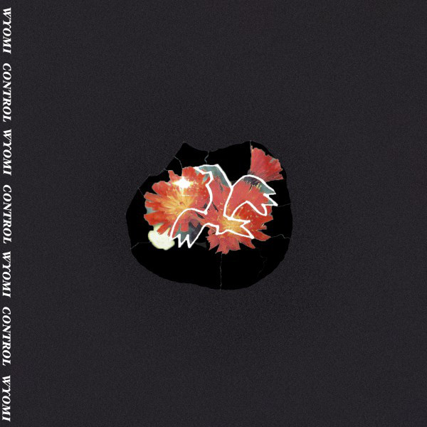 Control cover art