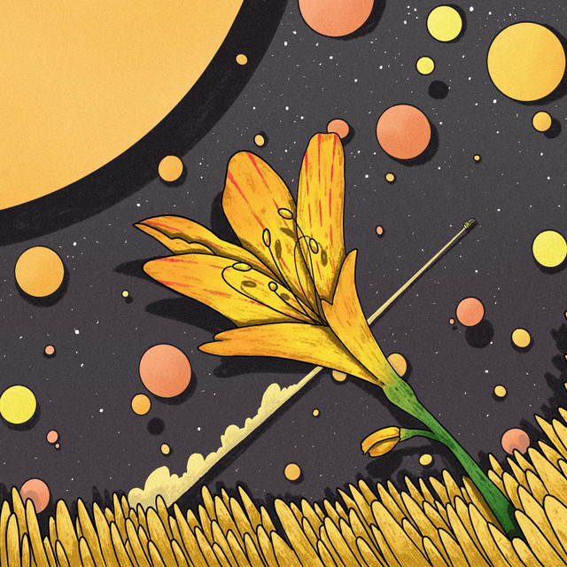 Amancay cover art