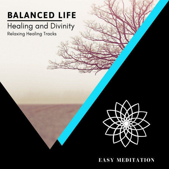 Healing And Divinity - Relaxing Healing Tracks cover art