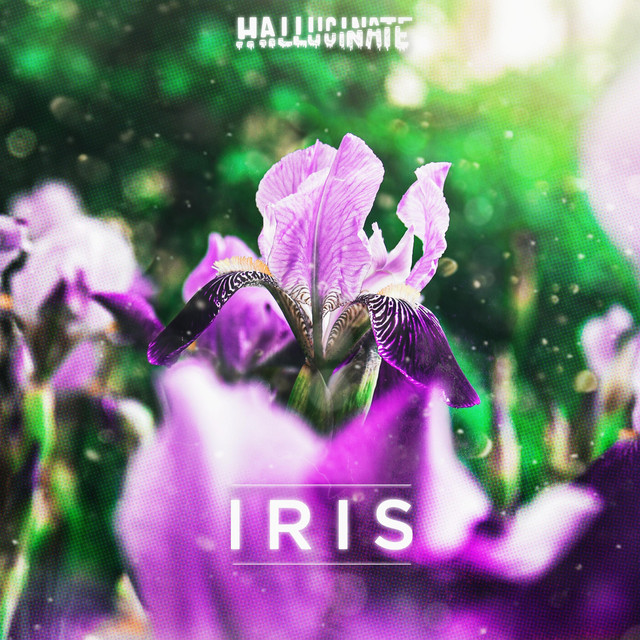 Iris cover art