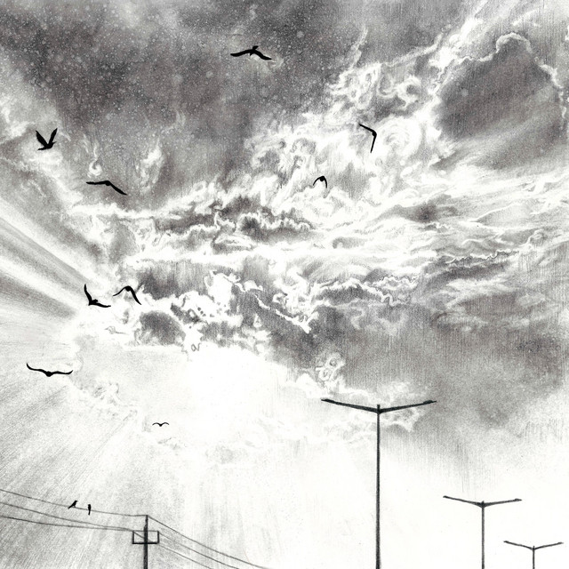 Birds cover art