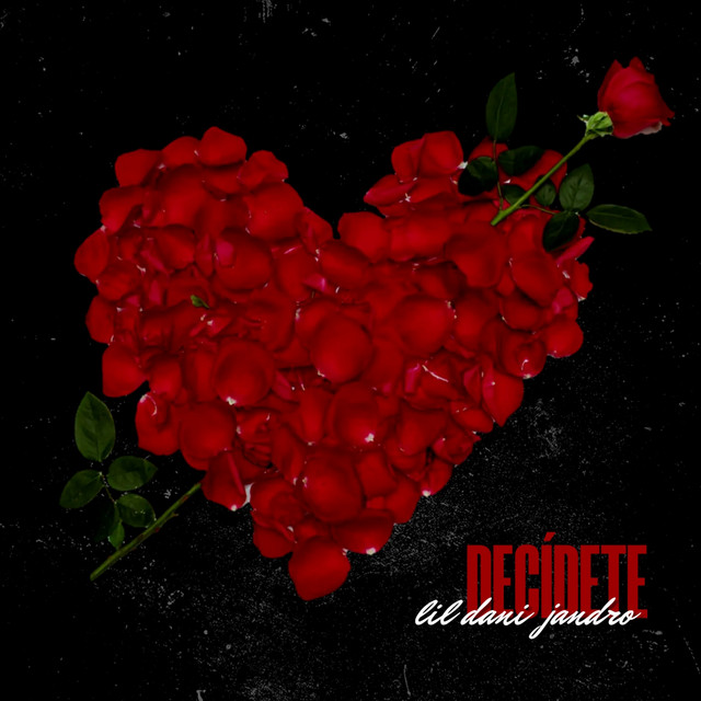 Decidete cover art