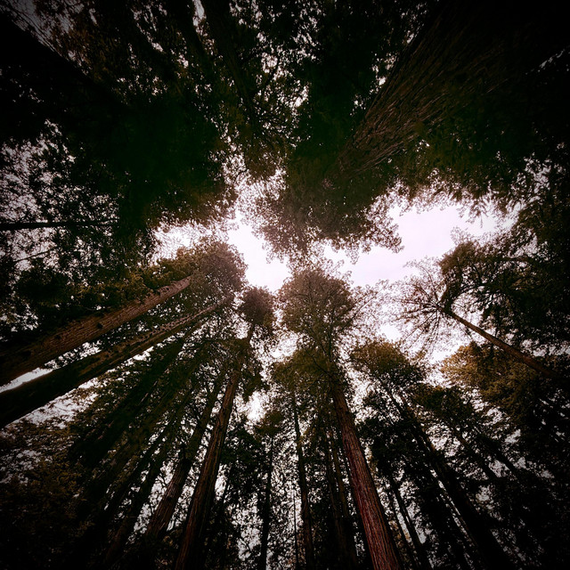 see the light.