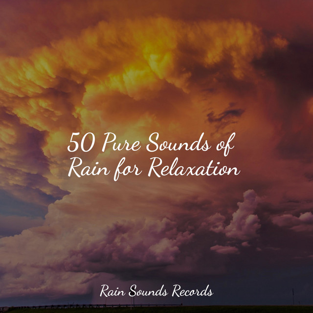 50 Pure Sounds of Rain for Relaxation - Album by Yoga Music | Spotify