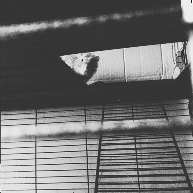 EXTENDED PLAY 001 cover art
