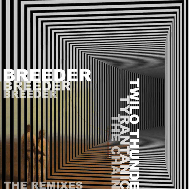 The Remixes cover