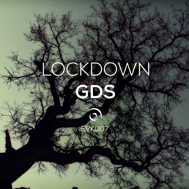 Lockdown cover art