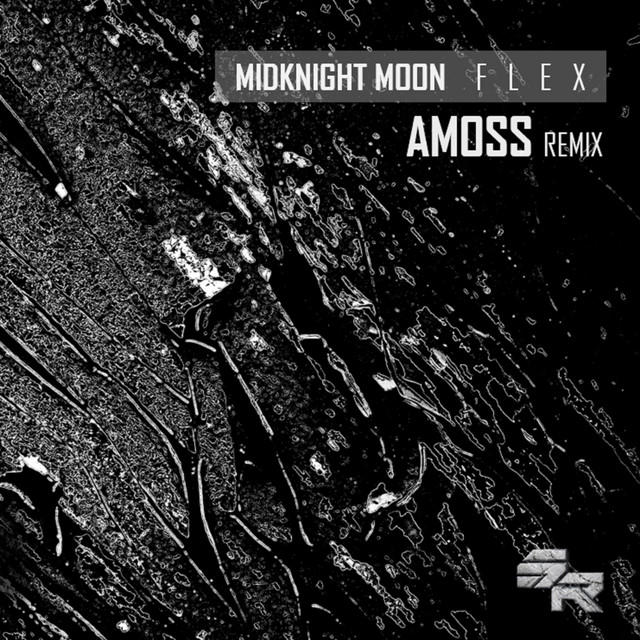 Flex - Amoss Remix artwork