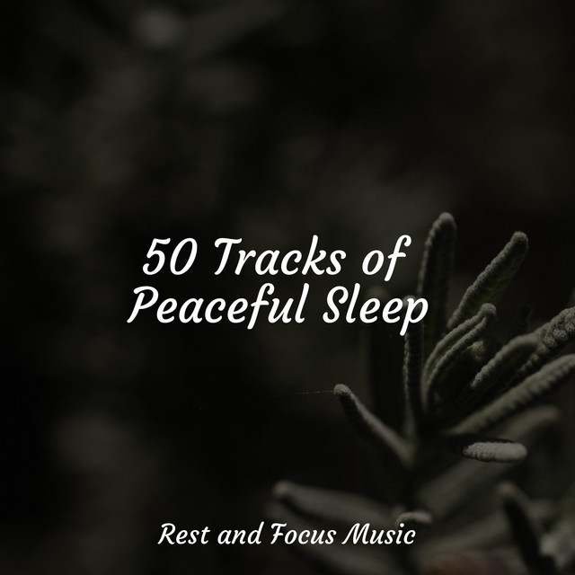 50 Tracks of Peaceful Sleep - Album by Music For Absolute Sleep | Spotify