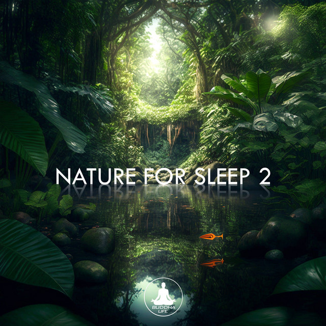 Nature For Sleep 2 cover art