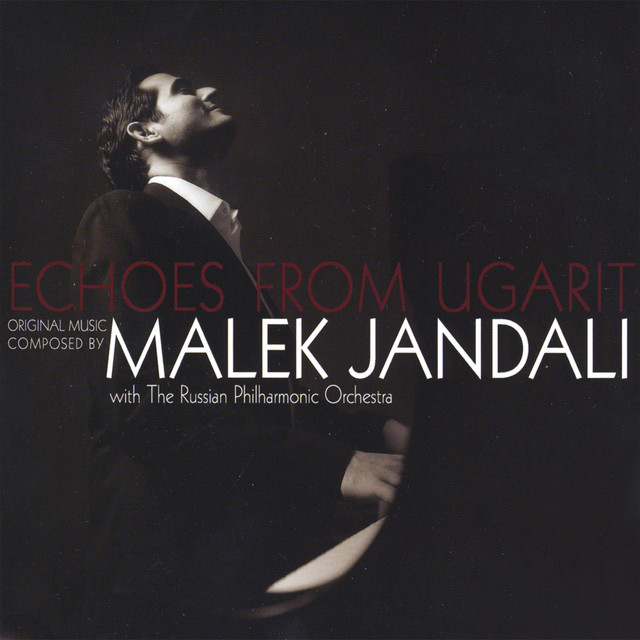 Malek Jandali Photo