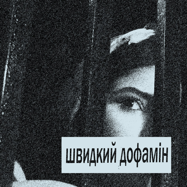 Обкладинка: Швидкий дофамін — Зізенко Микола Сергійович