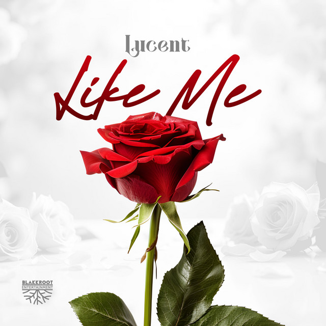 Like Me cover art