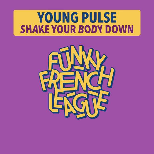 Shake Your Body Down - Disco Mix album art