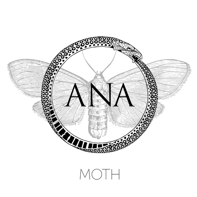 Moth cover art