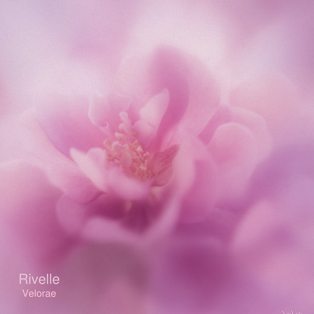 Rivelle cover art