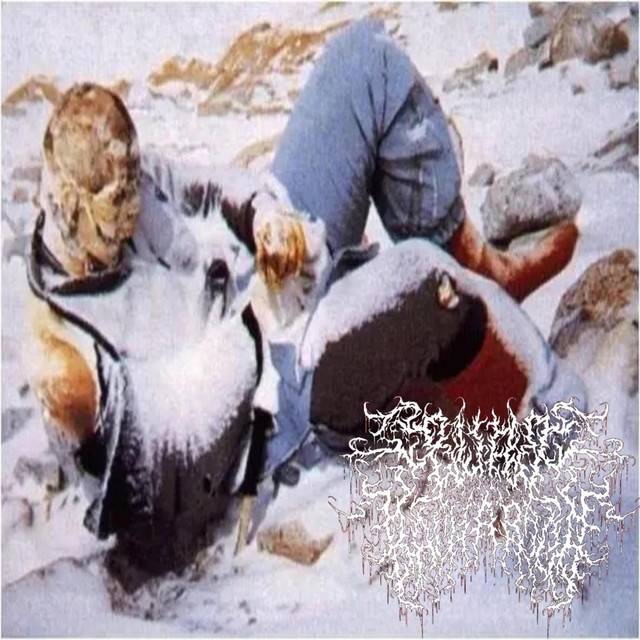 Vilis Magistratus cover art