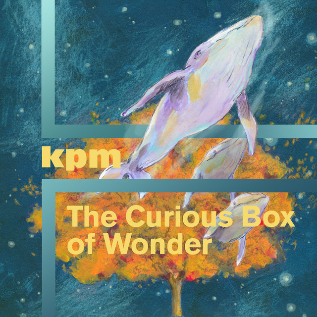 The Curious Box of Wonder cover art