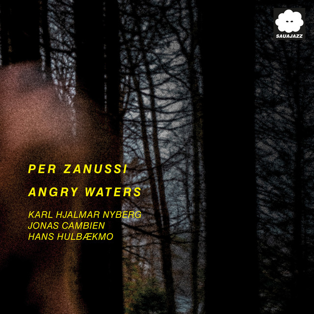 Angry Waters cover