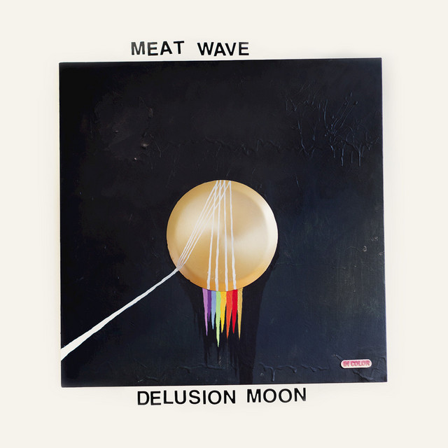 Delusion Moon cover art