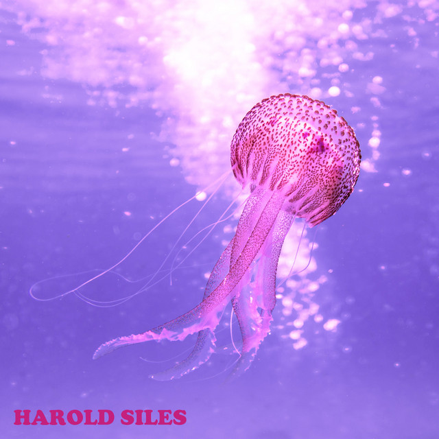 Harold Siles cover