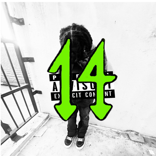 14 deluxe cover art