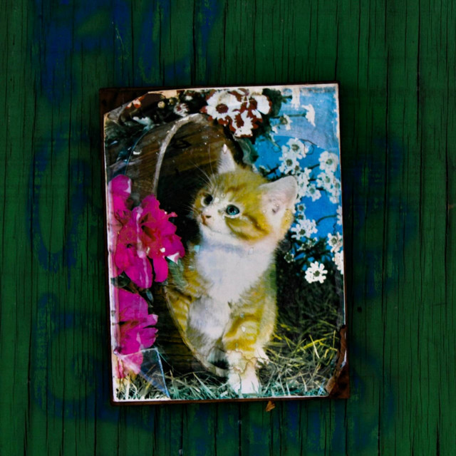 Demográfica cover art