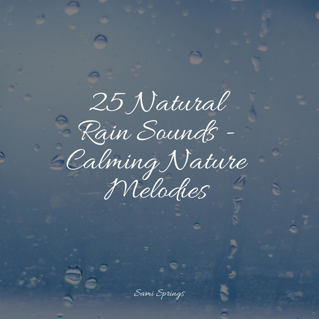 25 Natural Rain Sounds - Calming Nature Melodies - Album by Soothing ...
