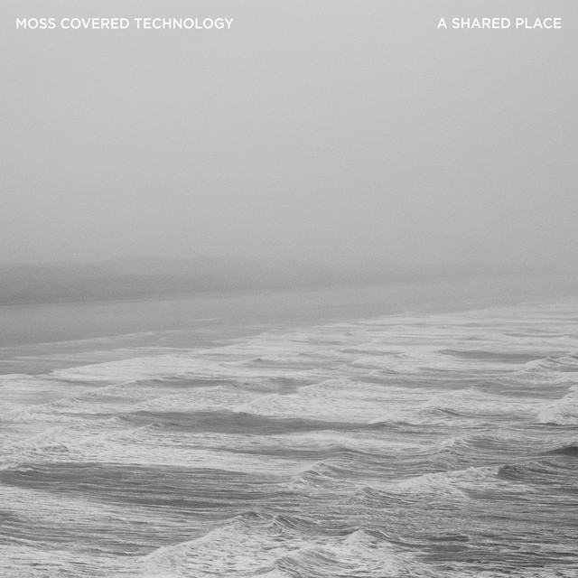 A Shared Place cover art