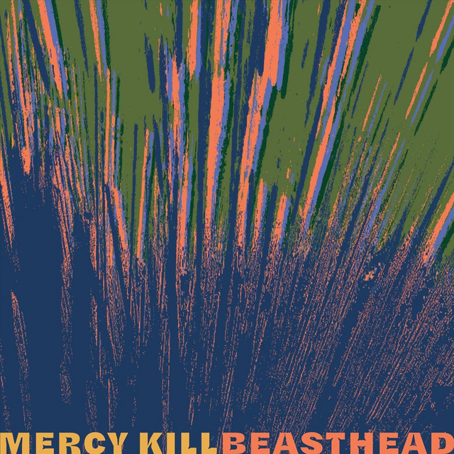 Mercy Kill cover