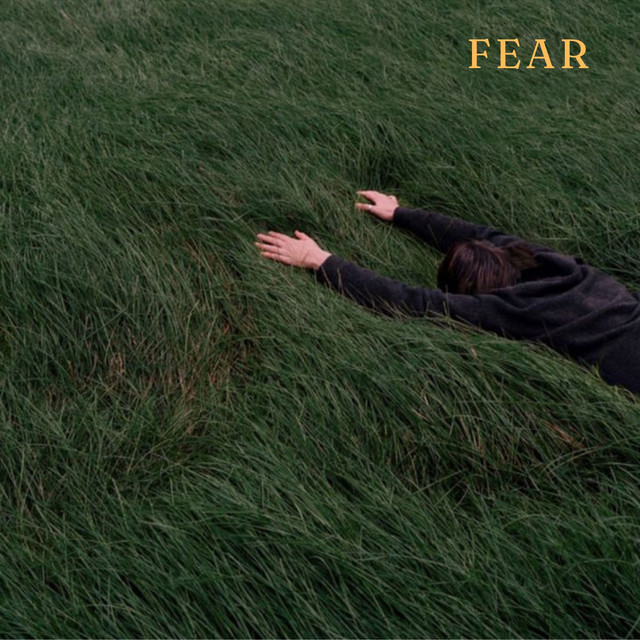 Fear cover art