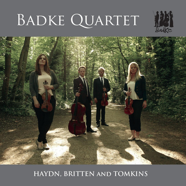 String Quartet in D Major, Op. 20, No. 4, Hob III:34: II. Un Poco Adagio e Affettuoso cover art