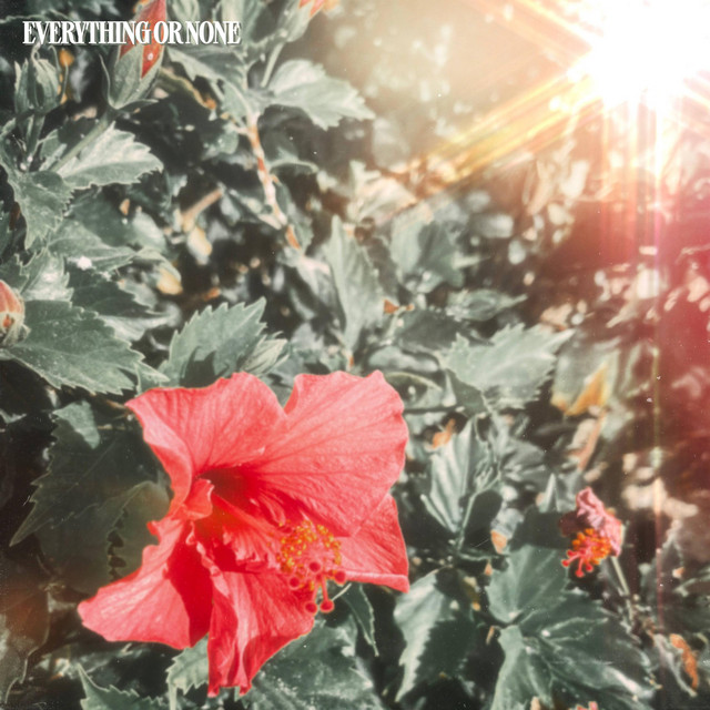 Everything Or None cover art