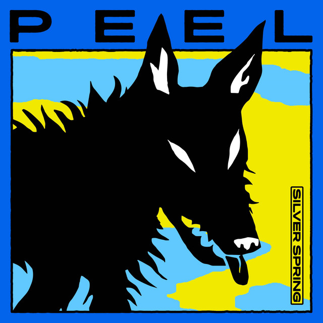 Silver Spring - song and lyrics by PEEL | Spotify